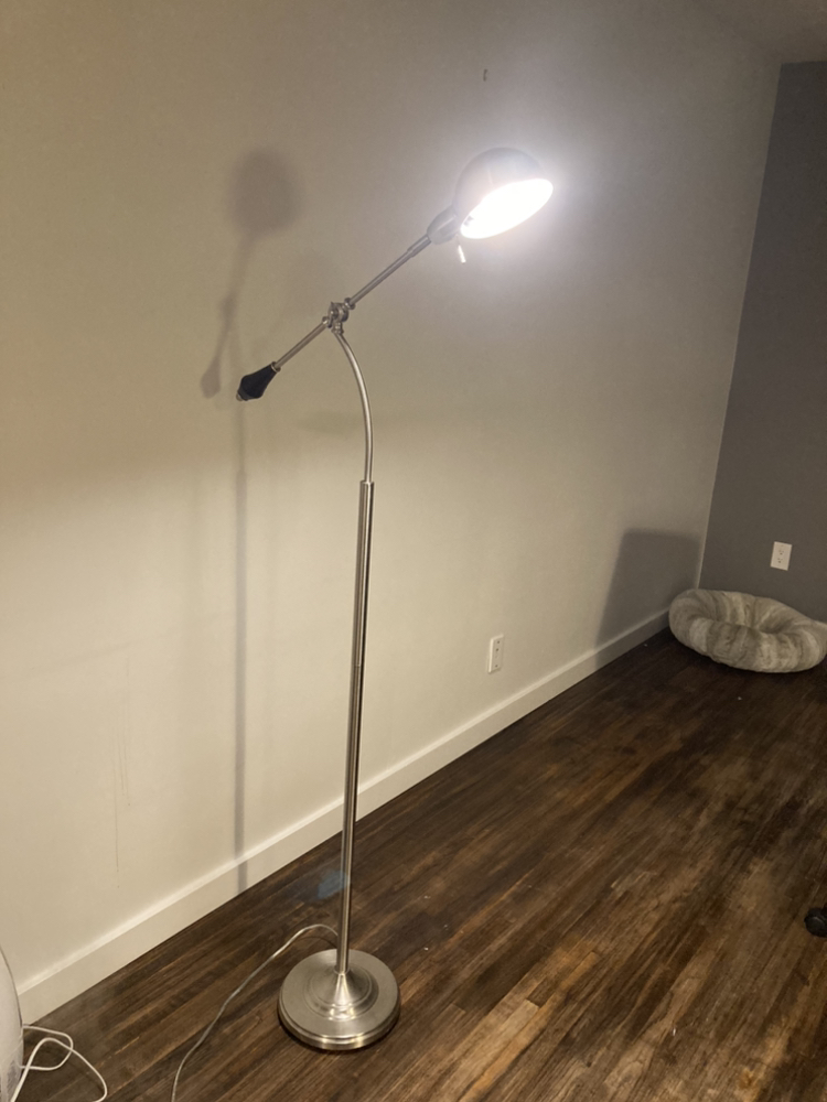 Floor lamp with adjustable head