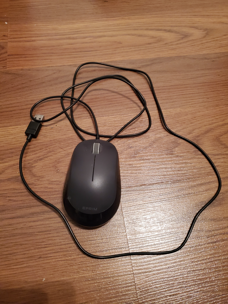 mouse