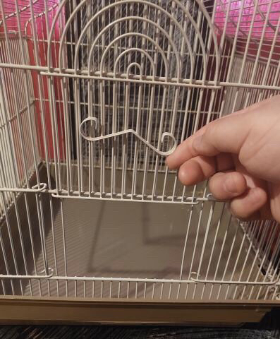 Bird cage - photo 2