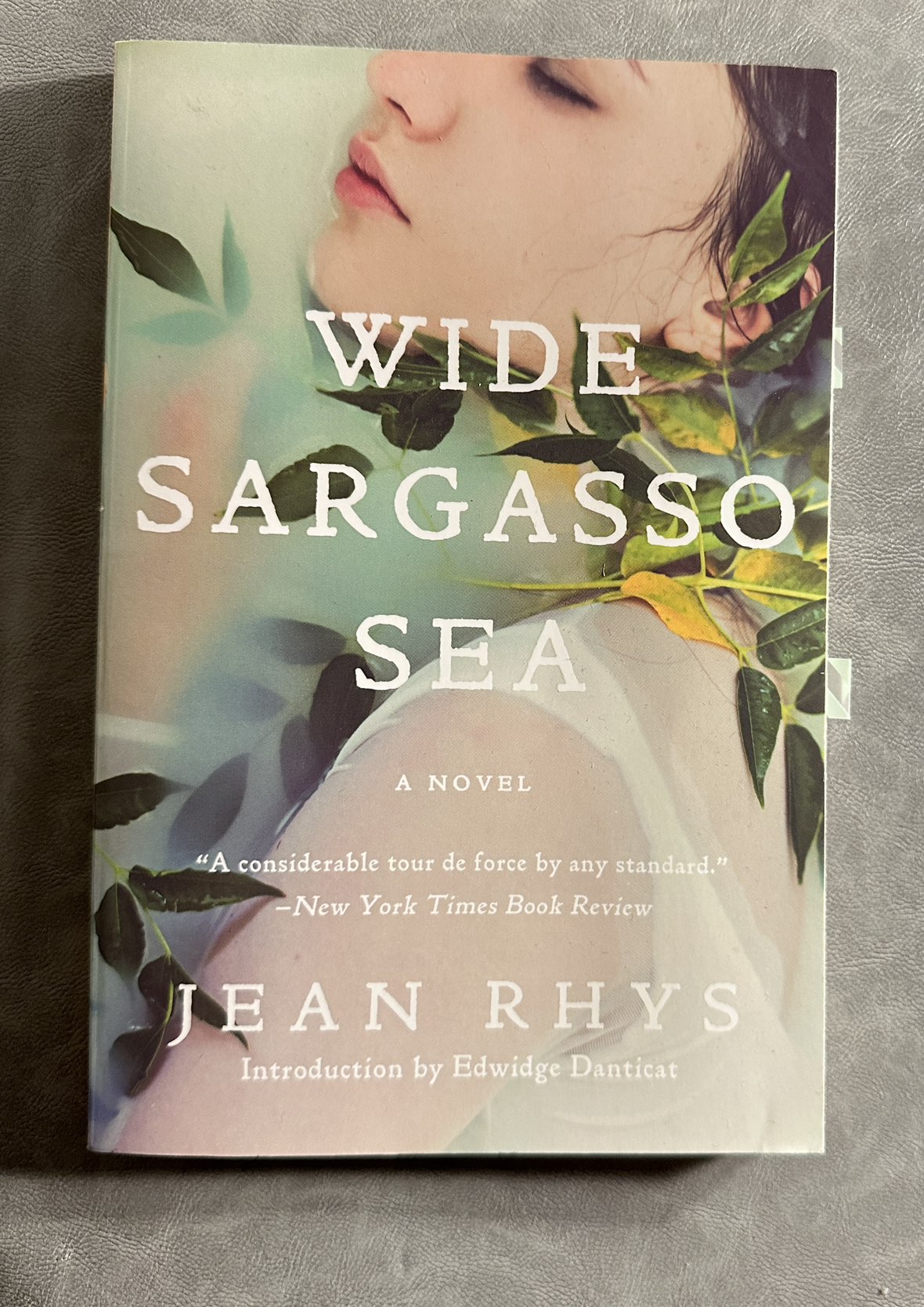 Book - WIDE SARGASSO SEA