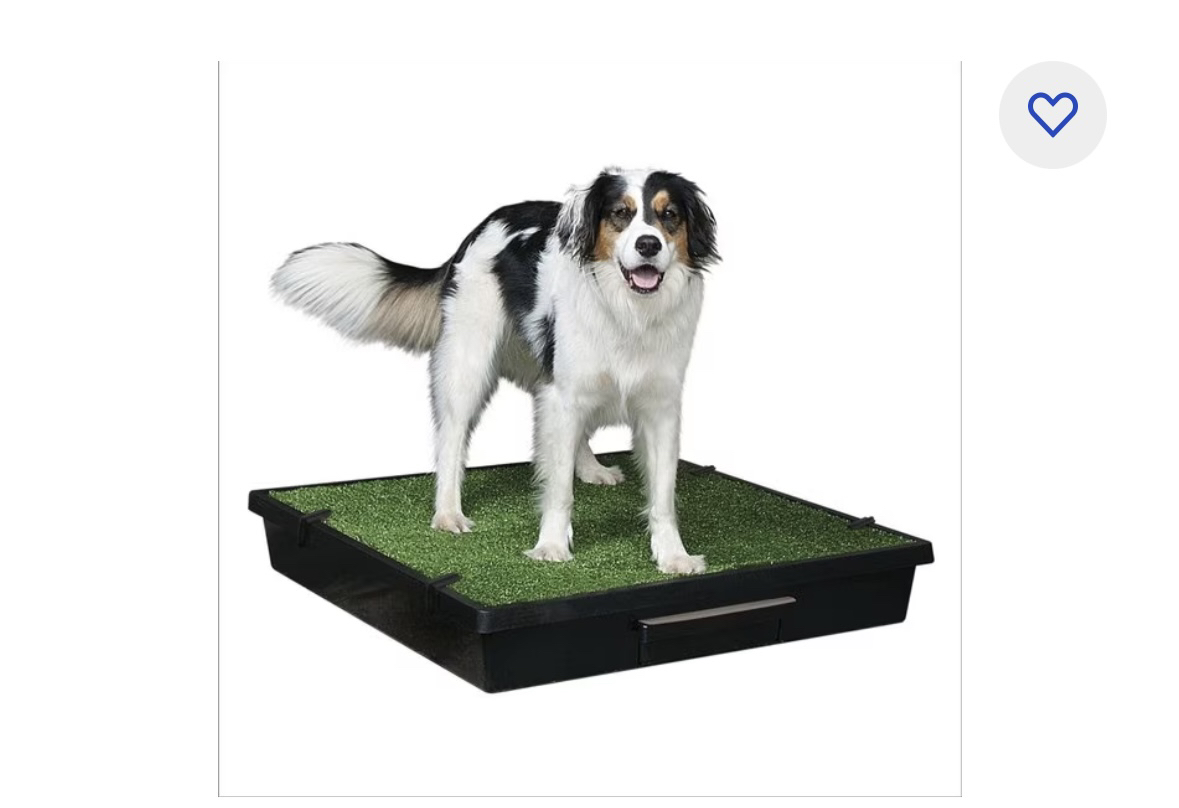 PetSafe Pet Loo Portable Indoor/Outdoor Dog Potty, size L