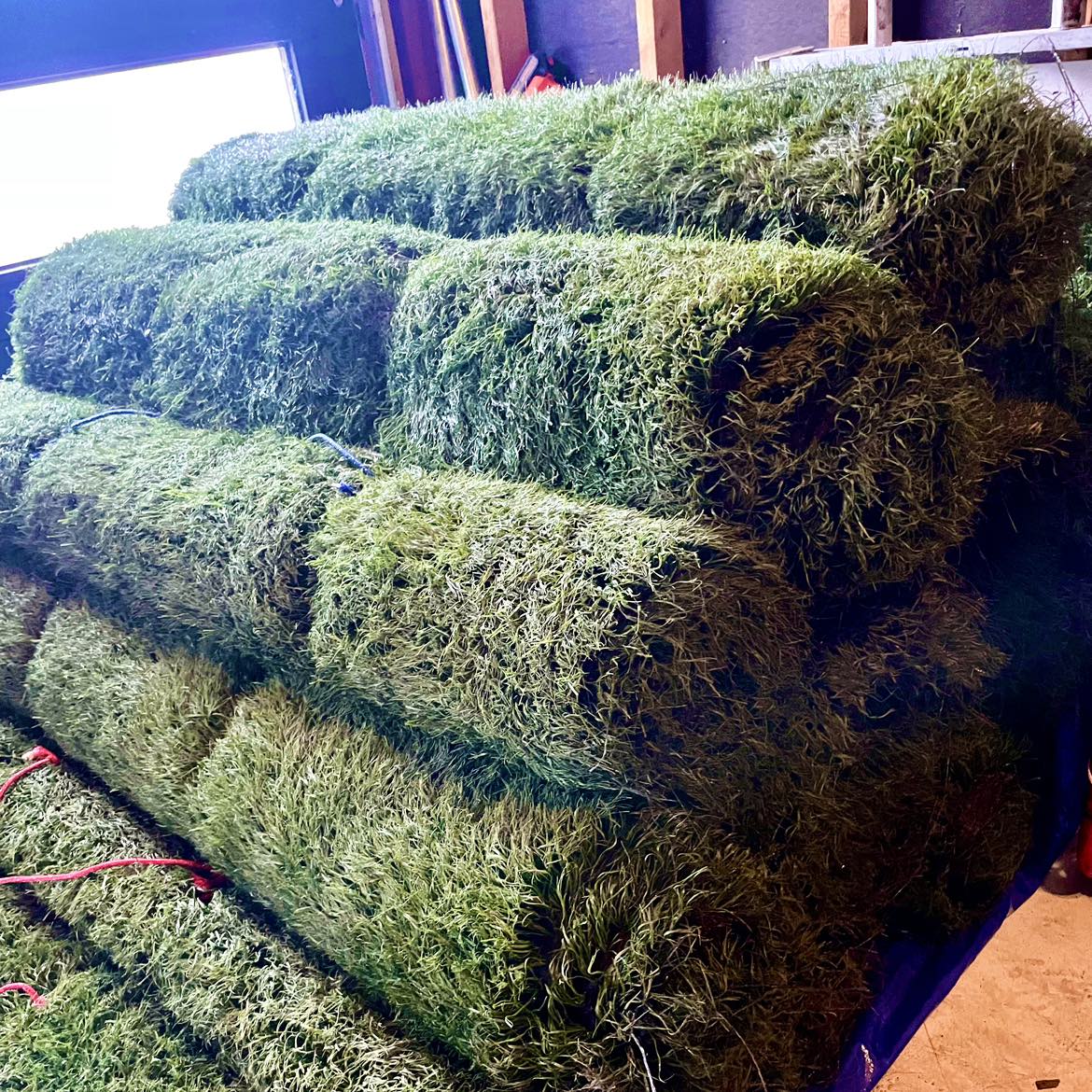 Artificial Turf 4’ x 8’