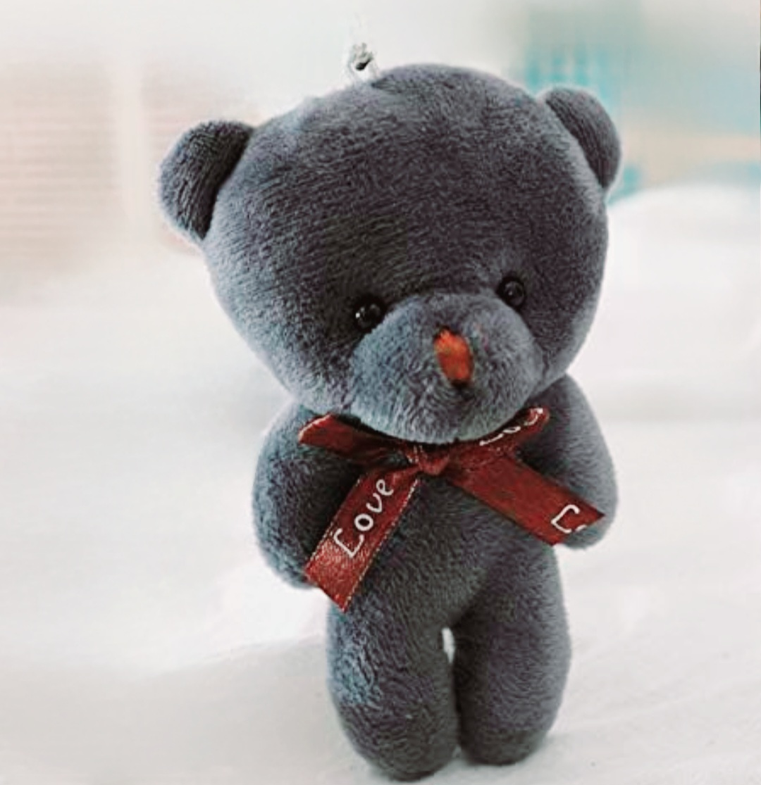 4.7in/12cm Plush Teddy thumbnail