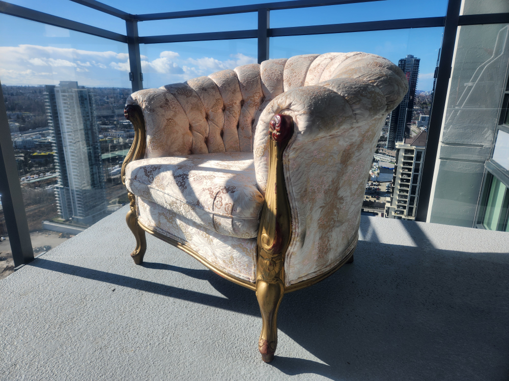 Moving Sale, beautiful single French style sofa