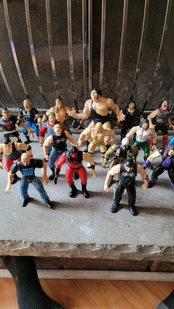 wrestling figures  best offer