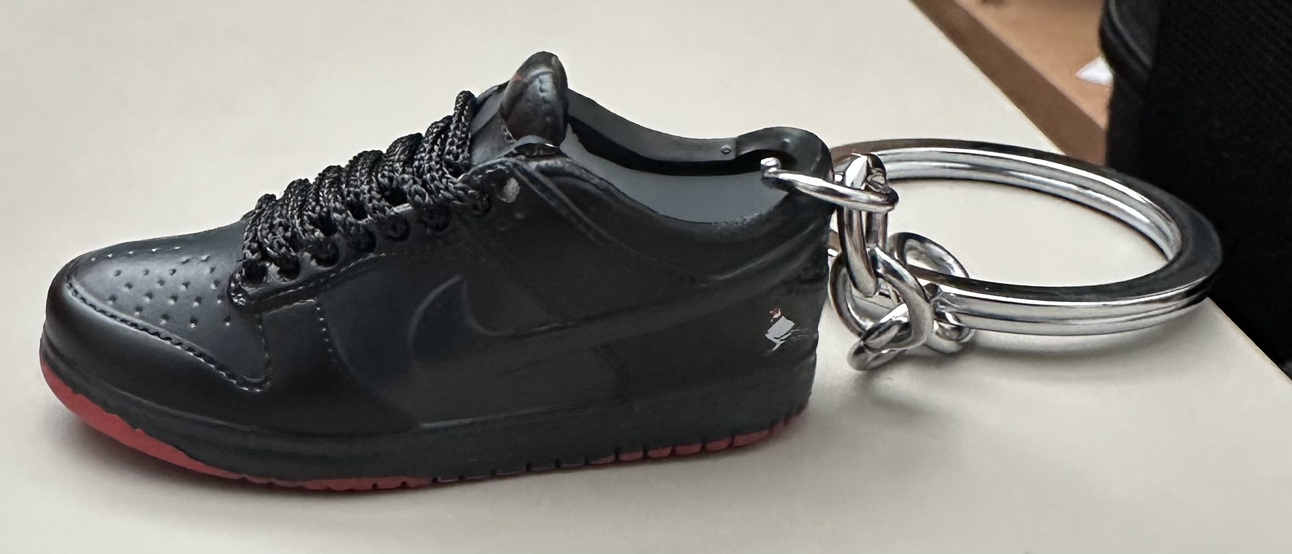 Shoe keychain image indicator(3)