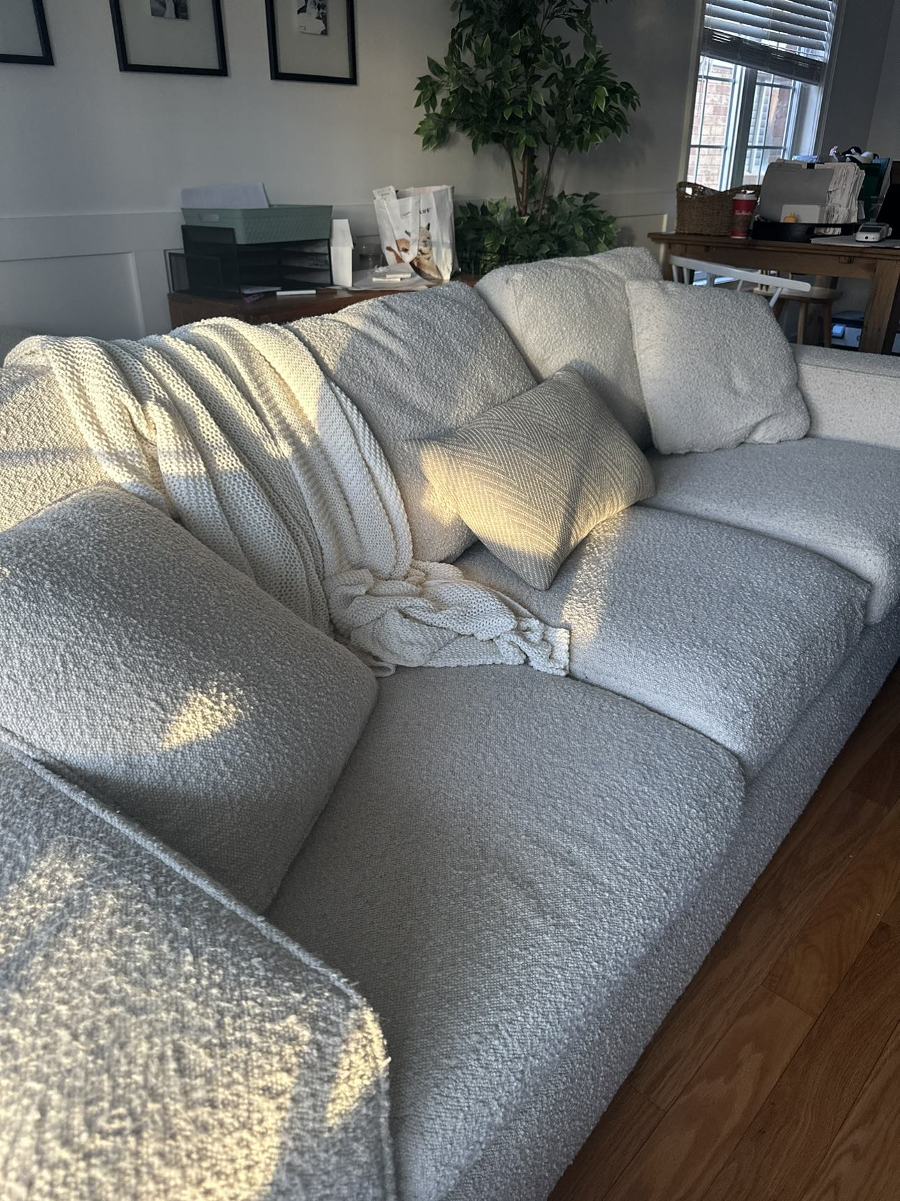 Urban Barn Boucle Three Seater Couch thumbnail