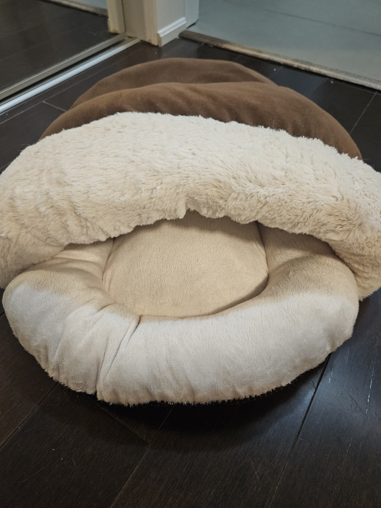 Cat Bed image indicator(2)