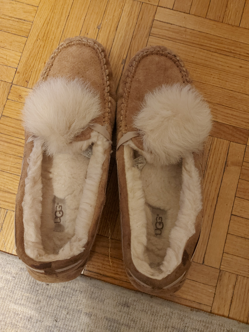 UGG slipper image indicator(3)