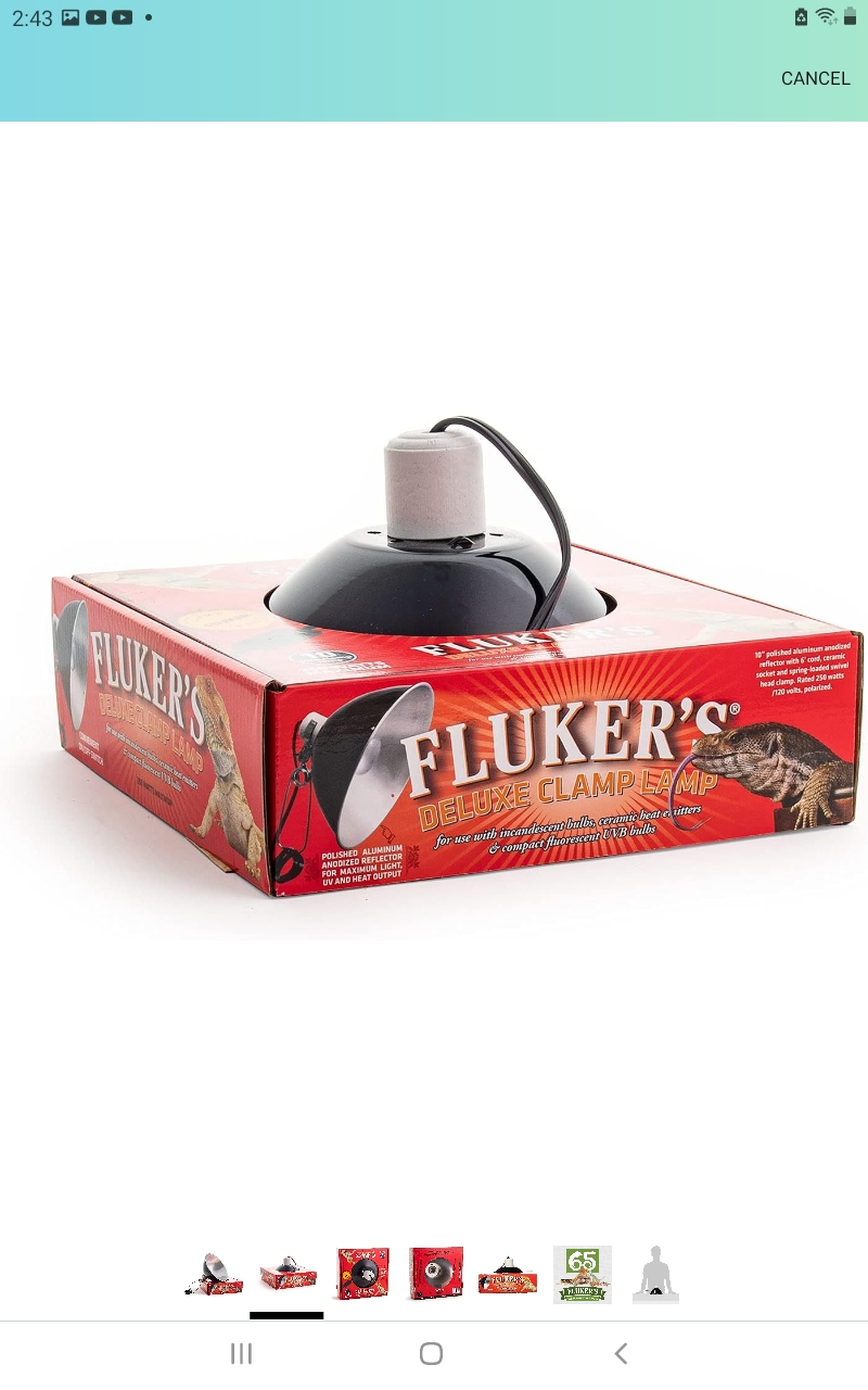 4 Fluker's Clamp Lamp with Switch - 10", Black - photo 5