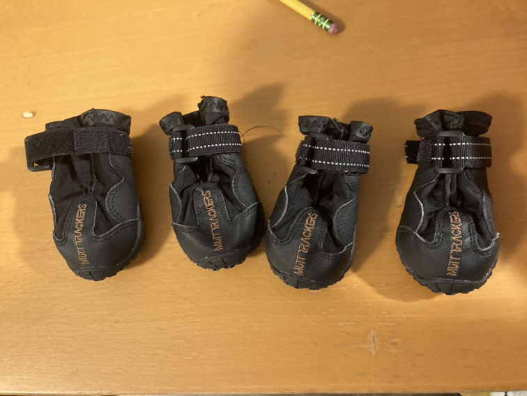 Muttpacker dog boots