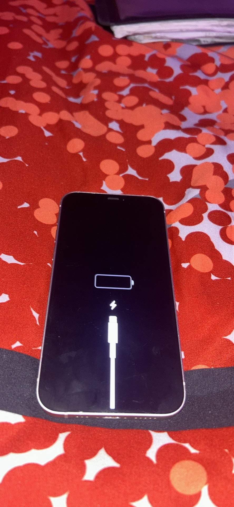 iphone 12 - photo 2