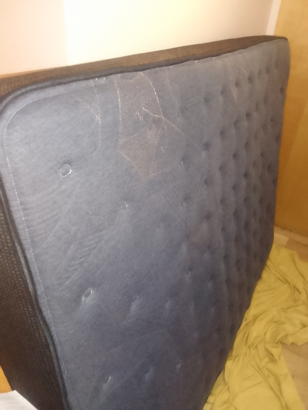 Sealy Queen Mattress - photo 5