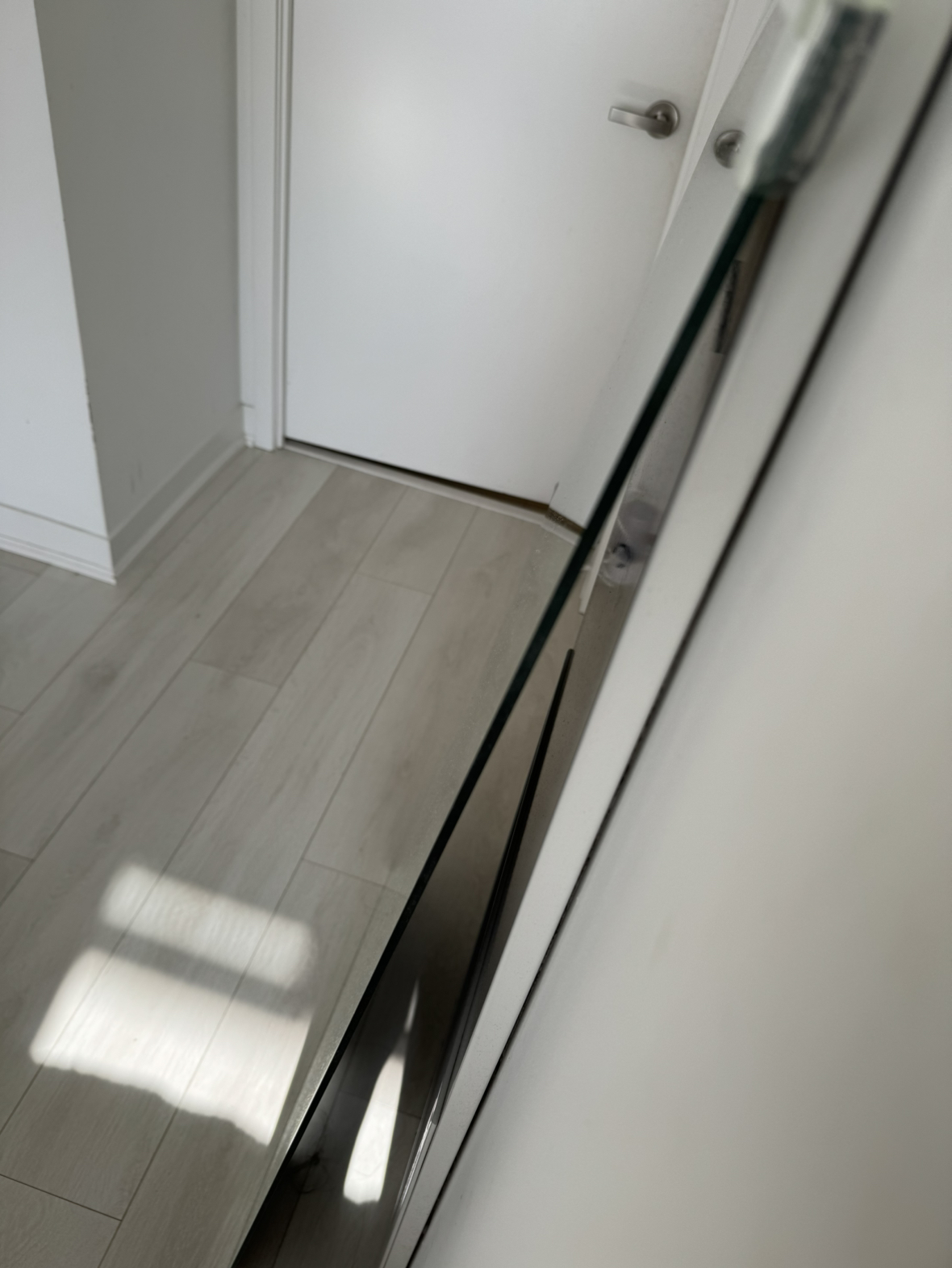 Body Mirror image indicator(3)