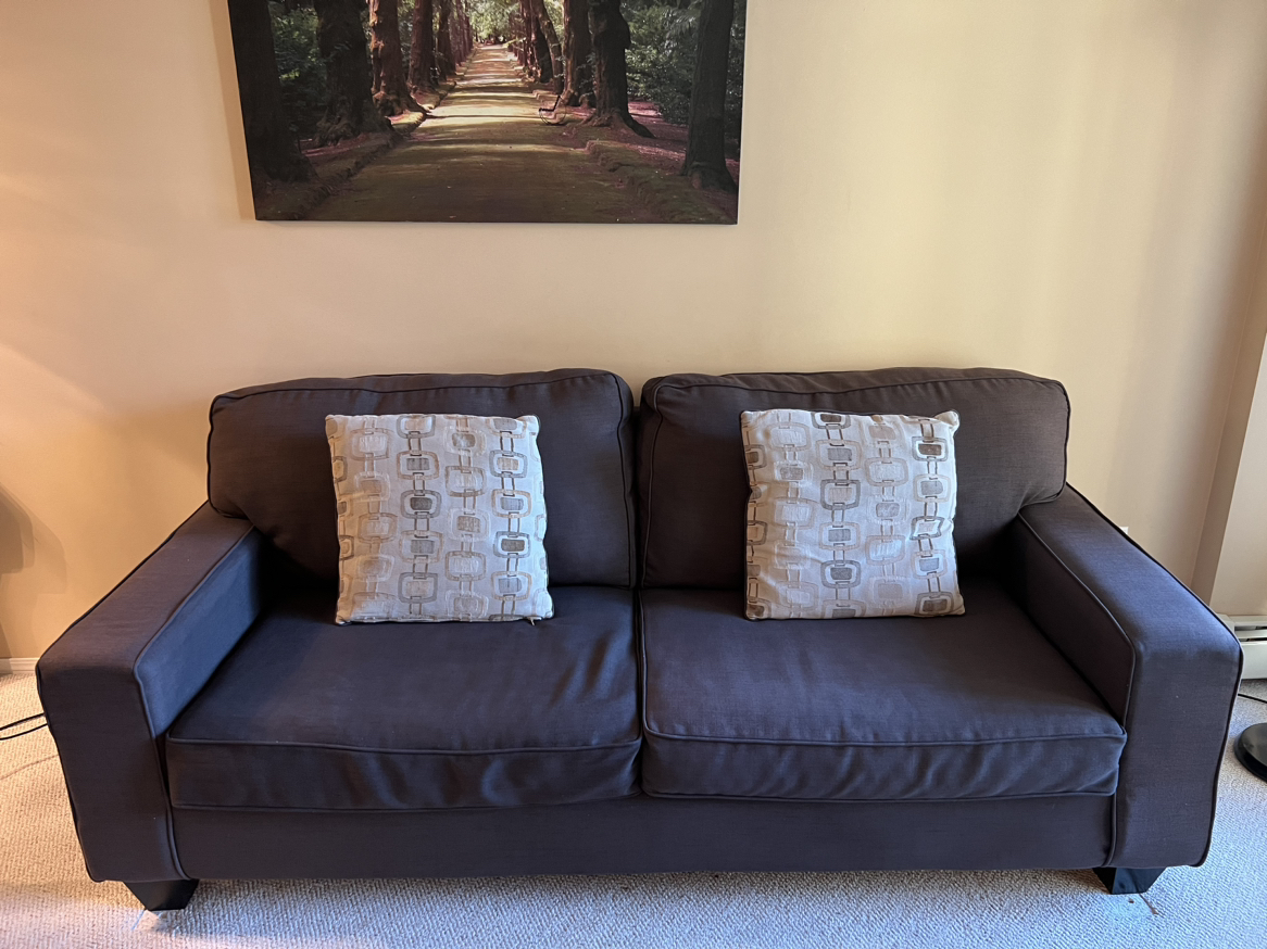 Brown Sofa
