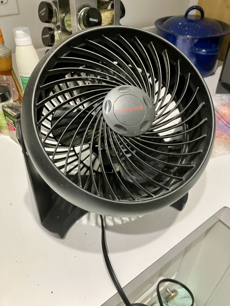 Honeywell desk fan (3 settings) 🏈