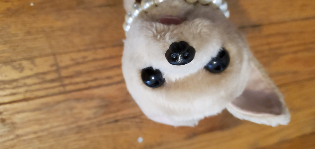 barking chihuahua toy