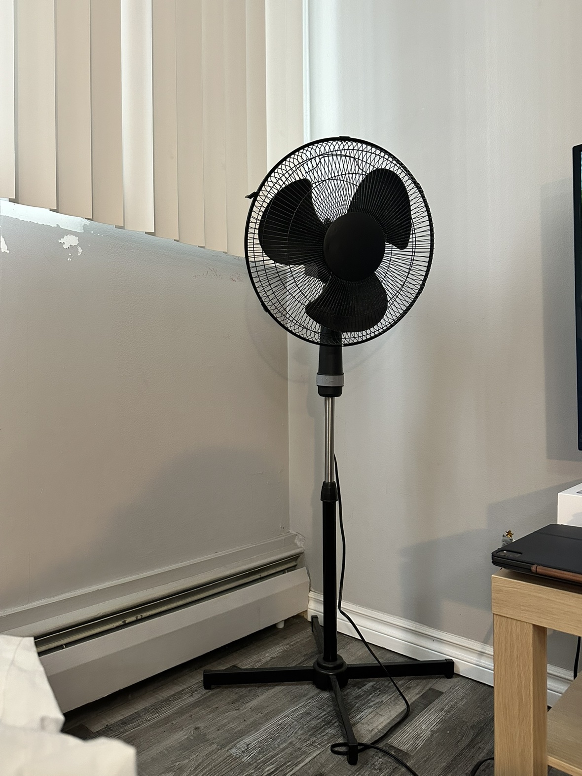 Fan