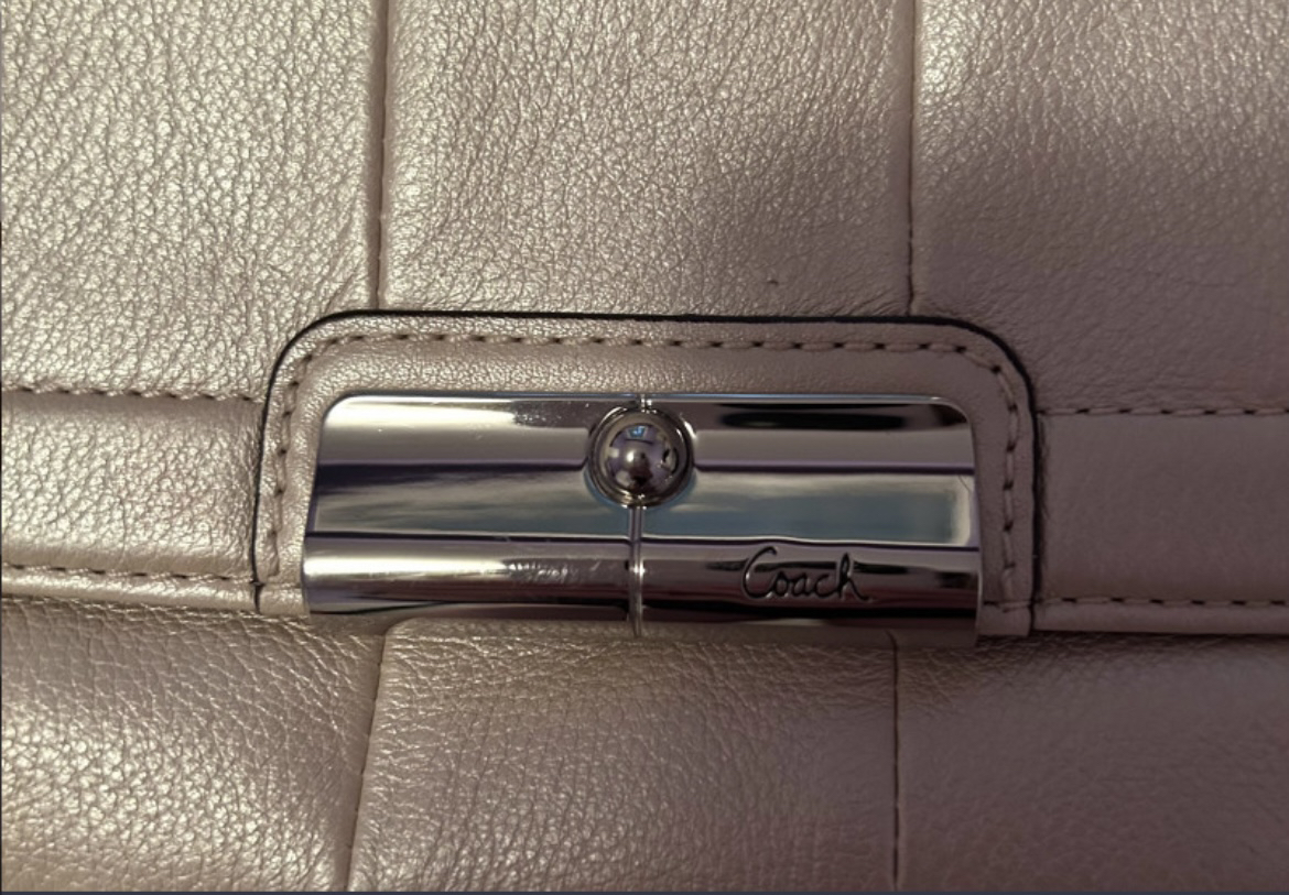 Coach Bag image indicator(3)