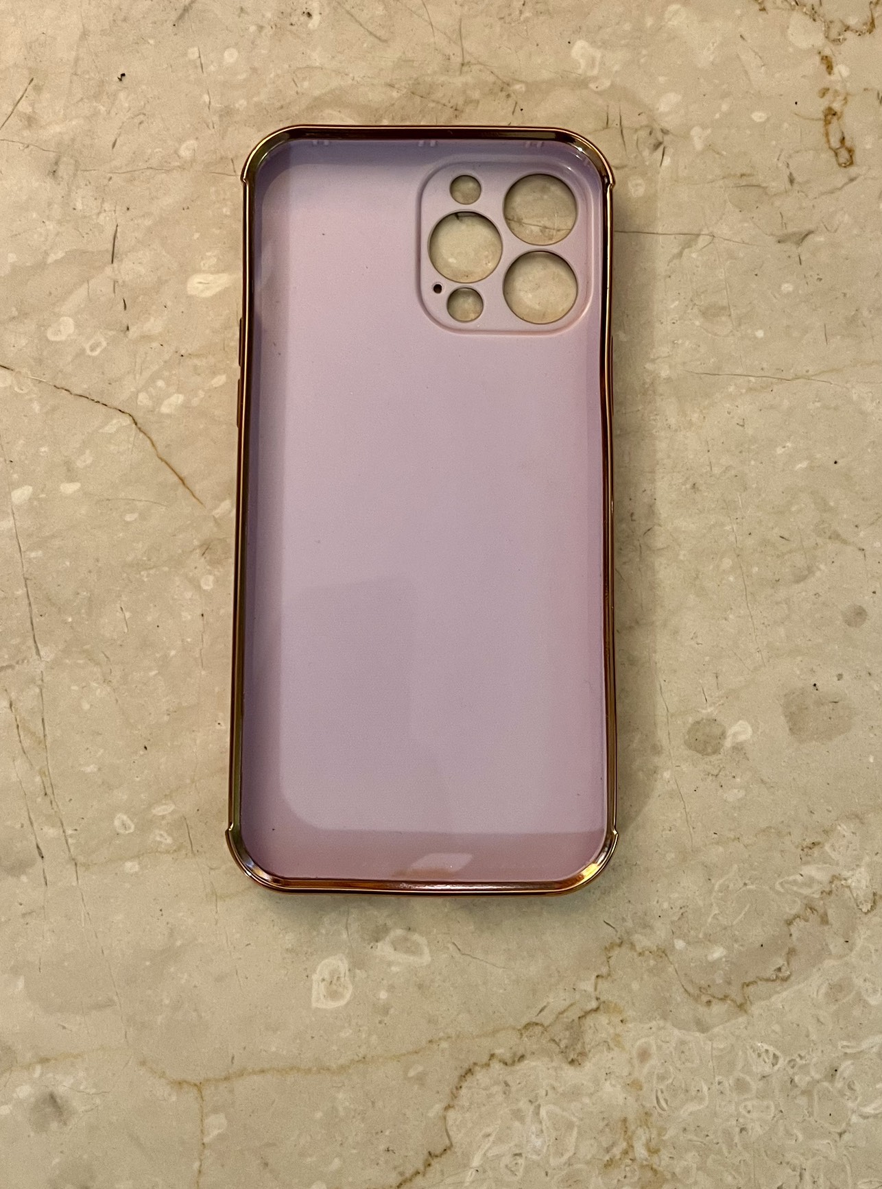 iPhone 13 Pro Max Phone Case (BNWOB) image indicator(2)