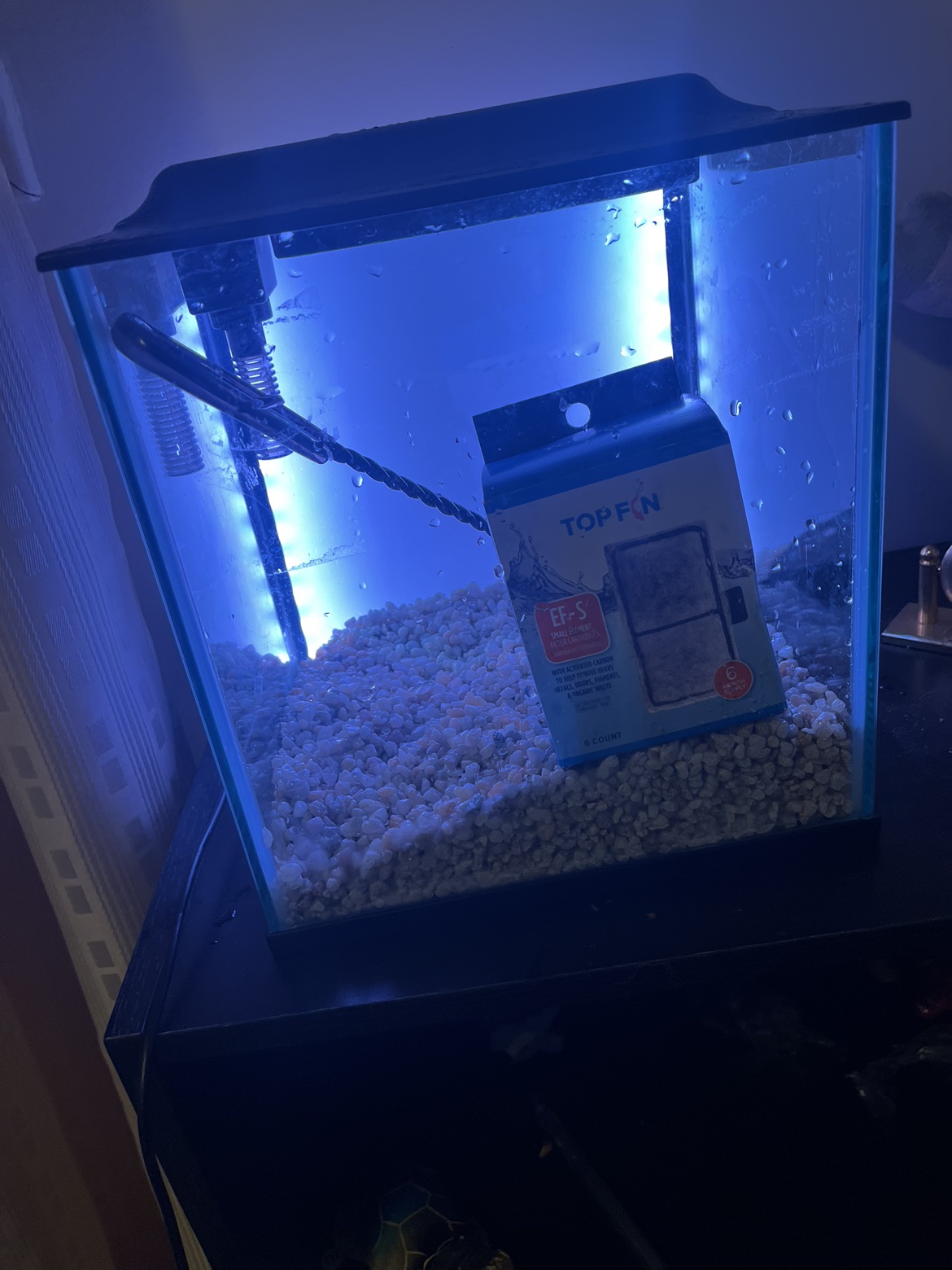 Topfin backlight 3 gallon tank - photo 4