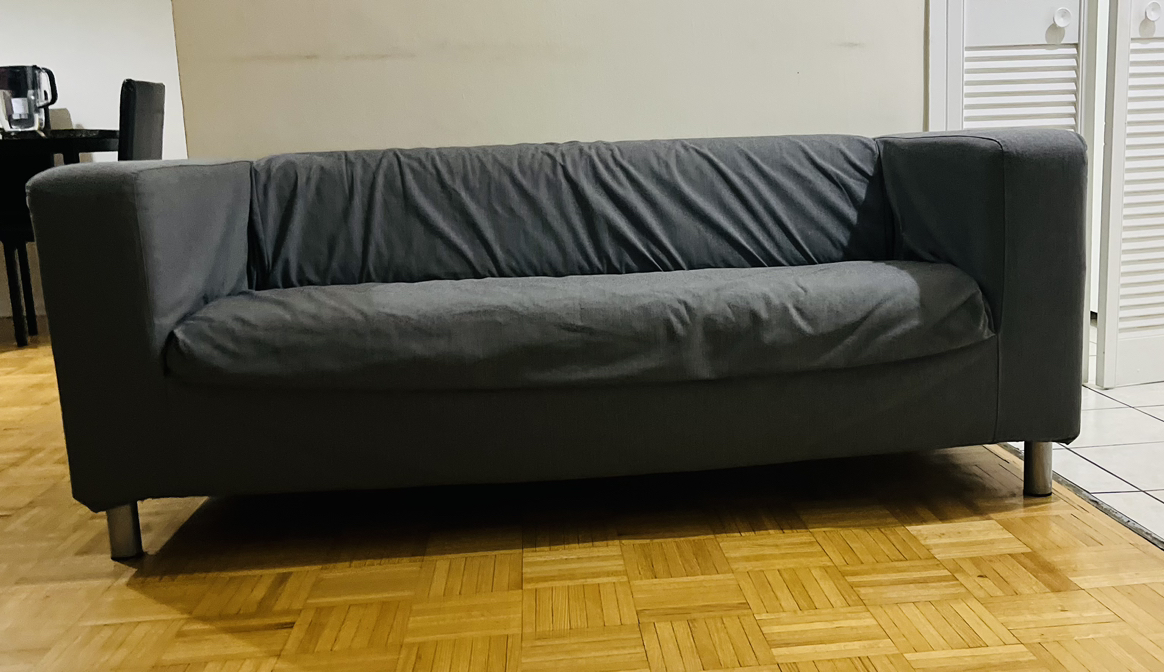 Couch/Sofa - photo 5