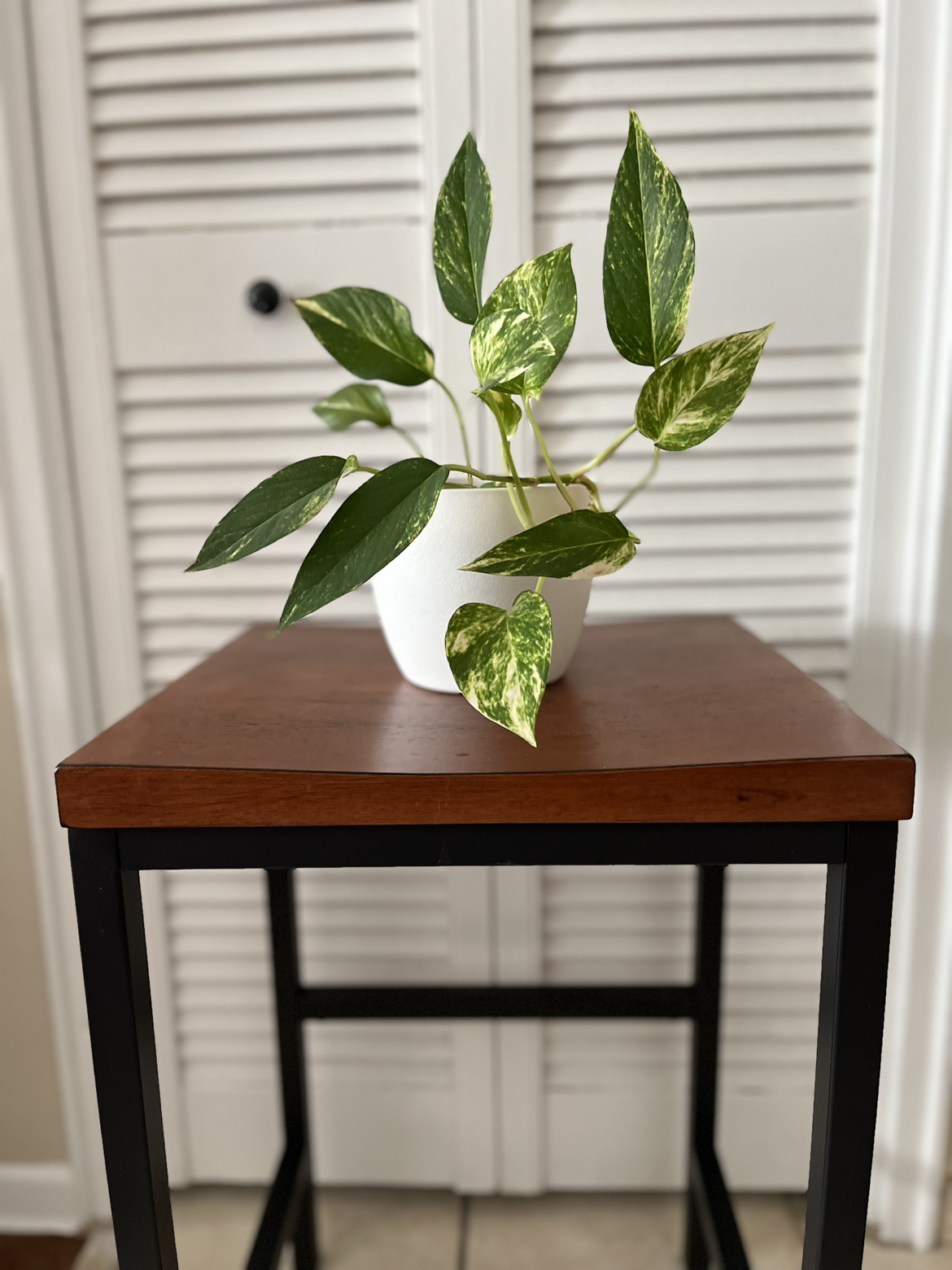 Wooden Top Stool/End Table