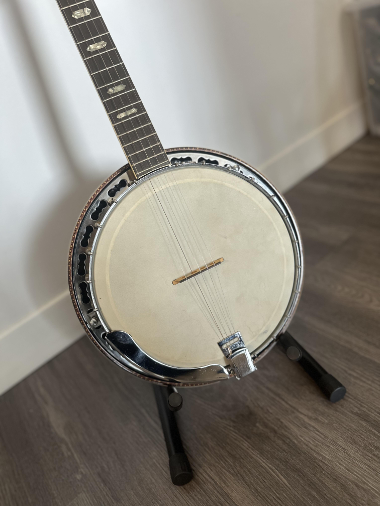 banjo - photo 2