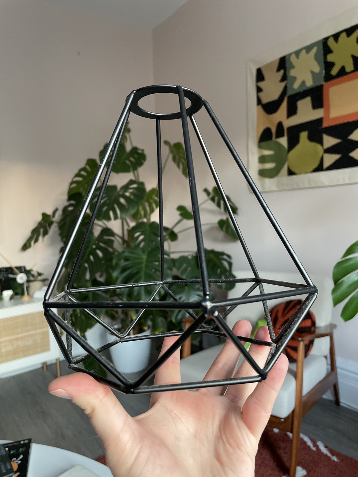 Pendant Light Cage #freecycle