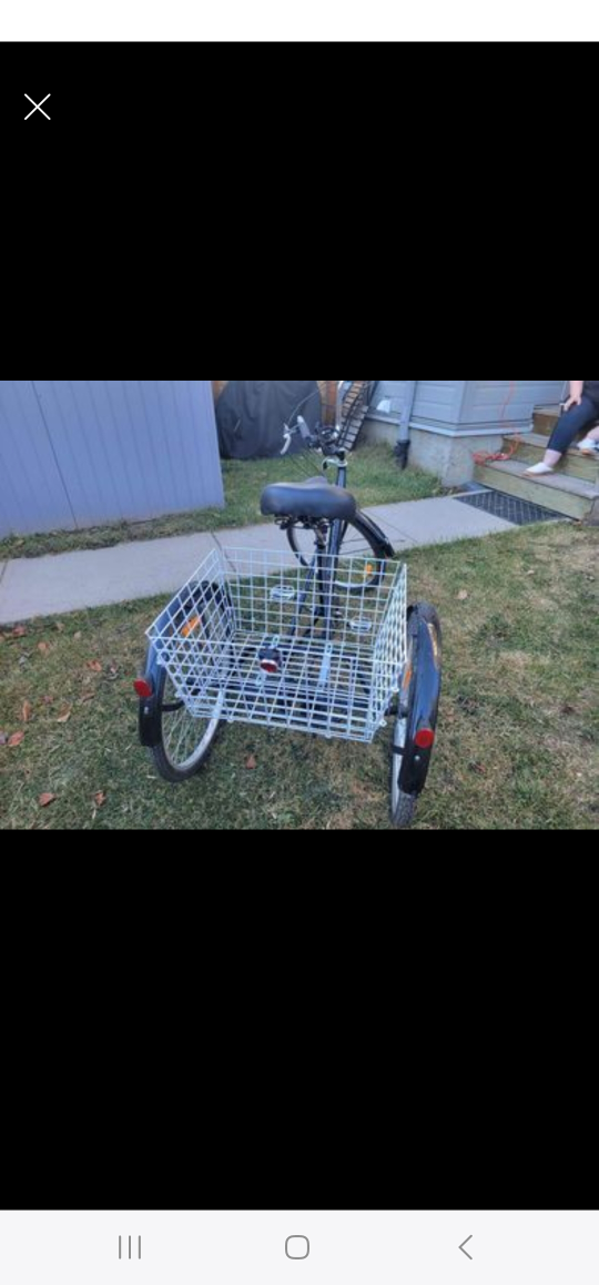 Adult Trike Black