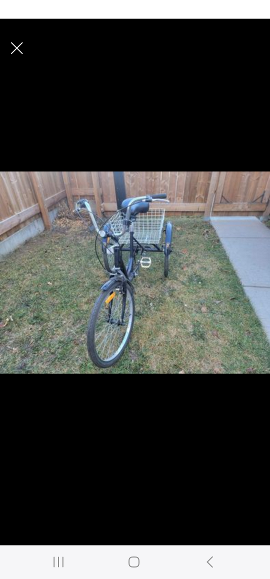 Adult Trike Black - photo 2