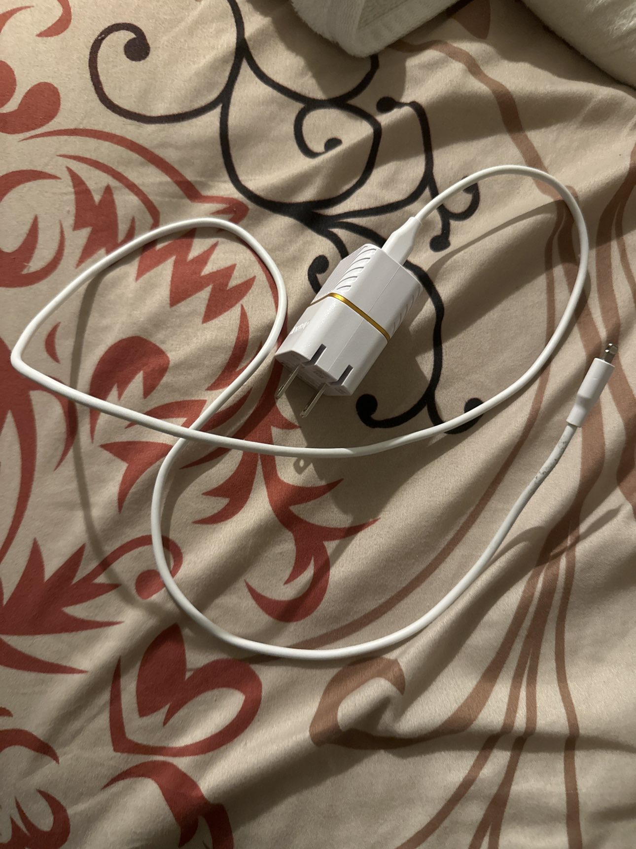 Apple charger with Otterbox plug