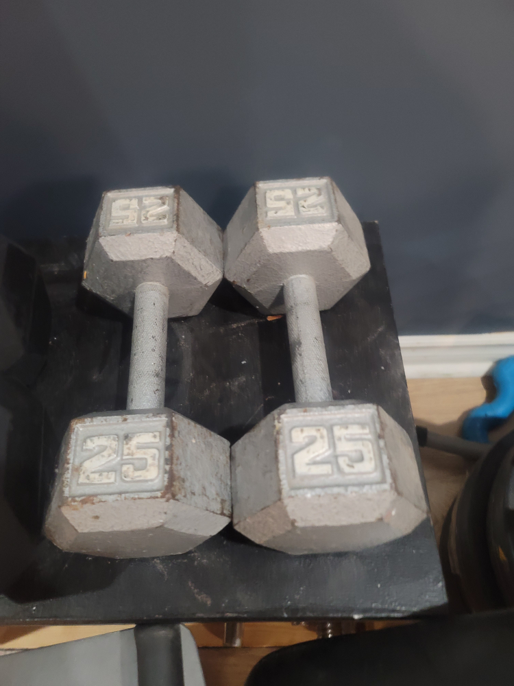 dumbells  25lb