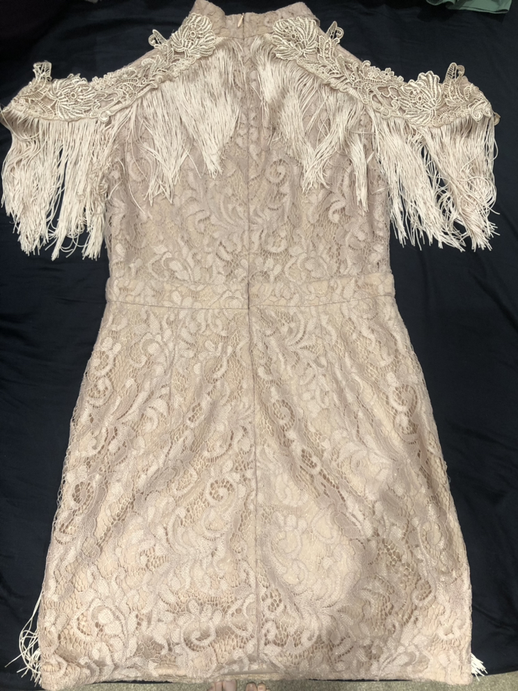 Blush pink lace flapper dress image indicator(3)