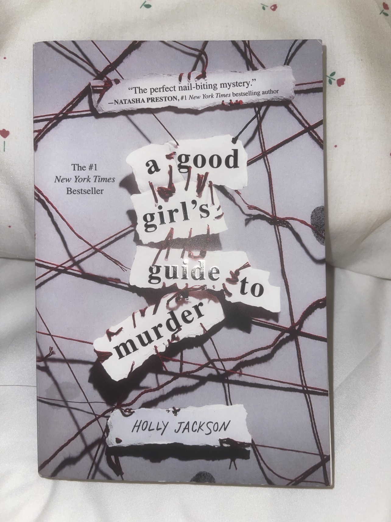 A good girls guide to murder novel