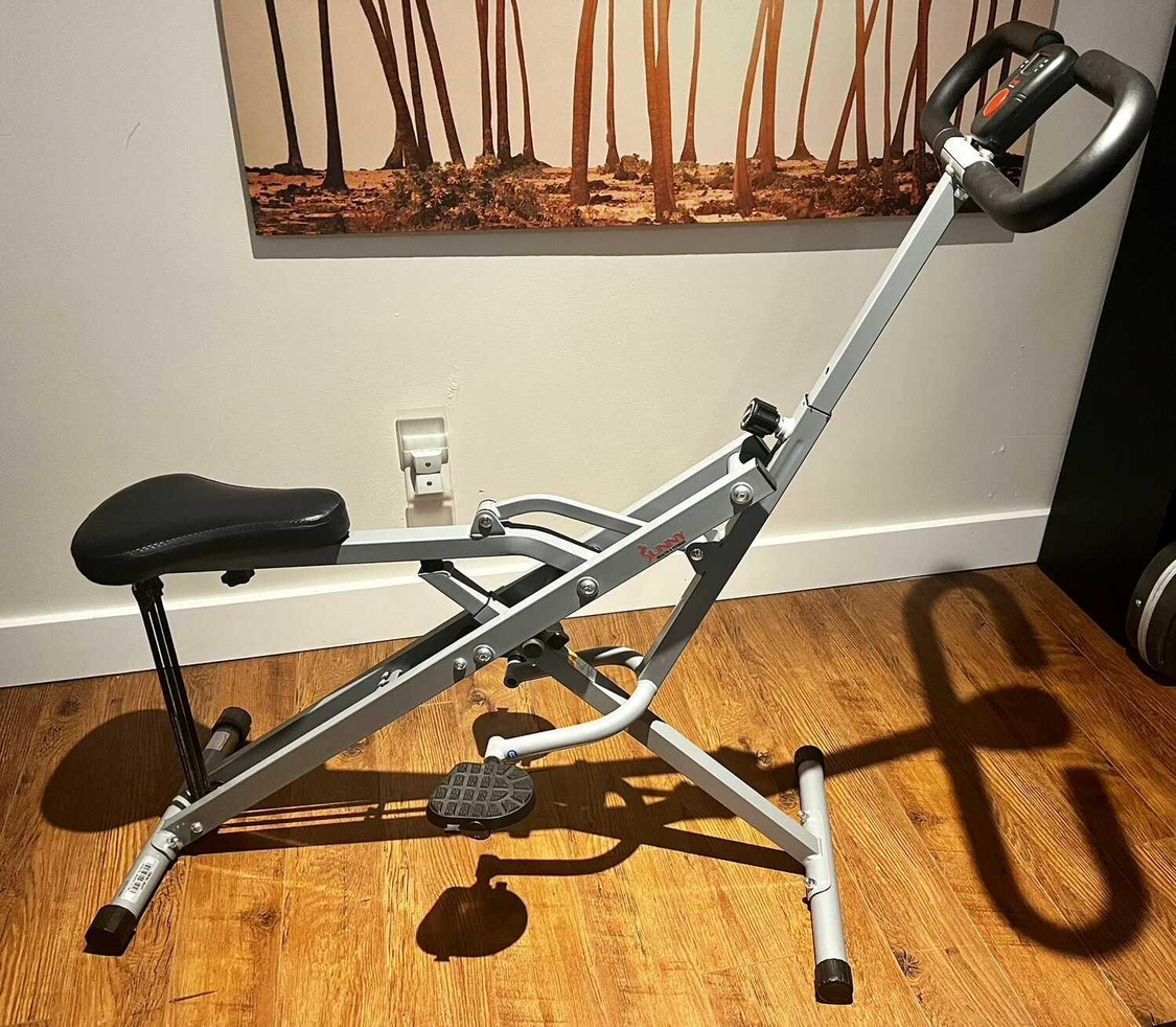 Sunny Health & Fitness Row-N-Ride
