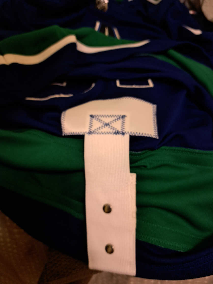 Elias Petterson Canucks Jersey (large) - photo 2