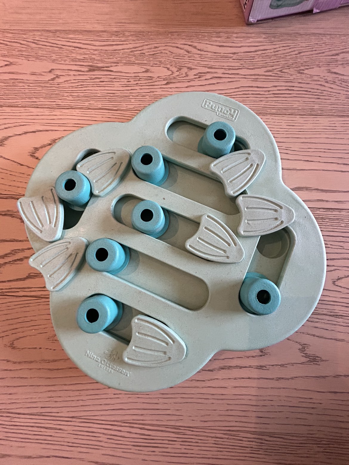 Dog Toy  #freecycle