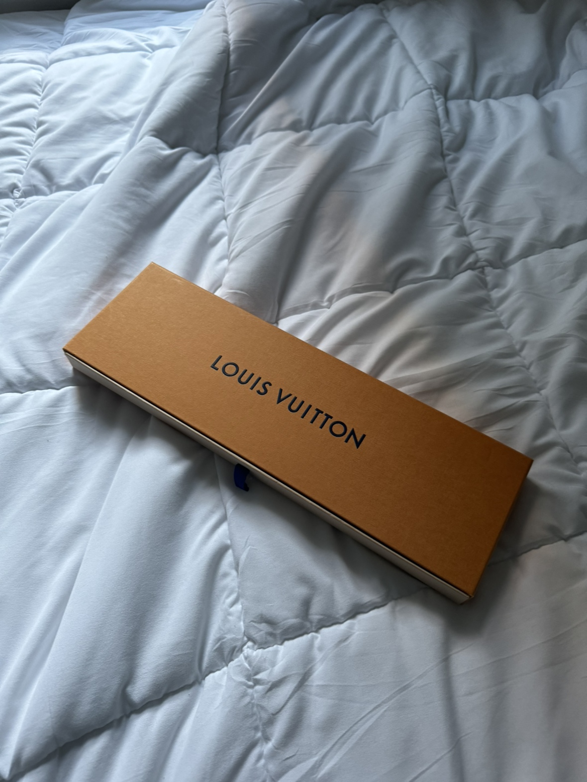 Louis Vuitton - Monogram Flower Tile BB Bandeau in Beige - photo 3
