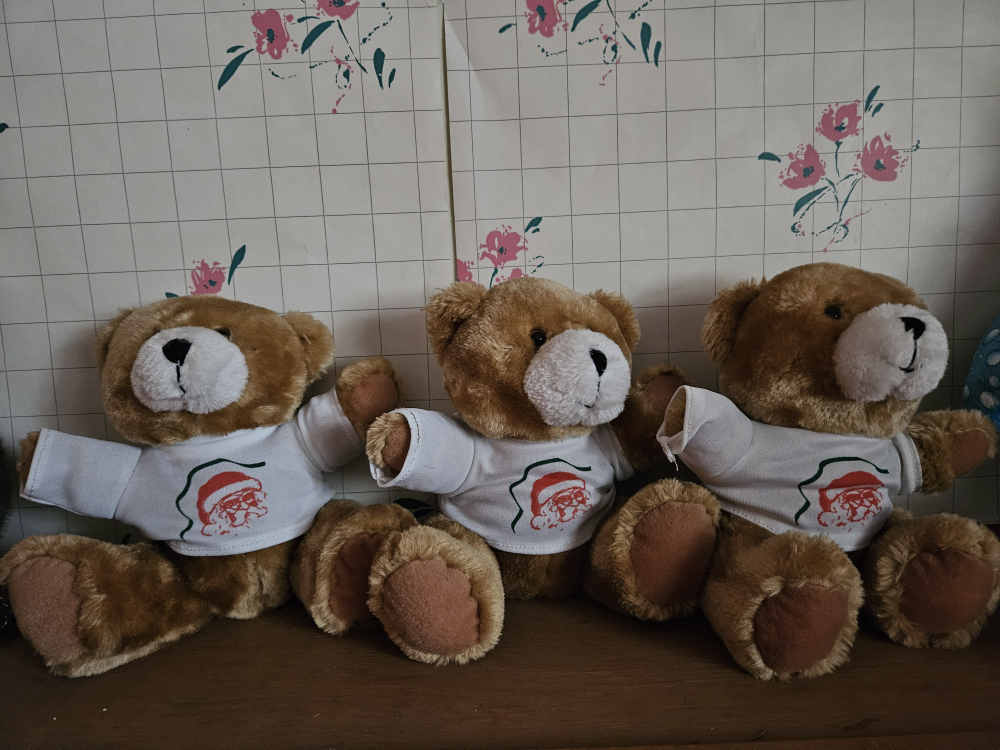 Plush bears with t shirts