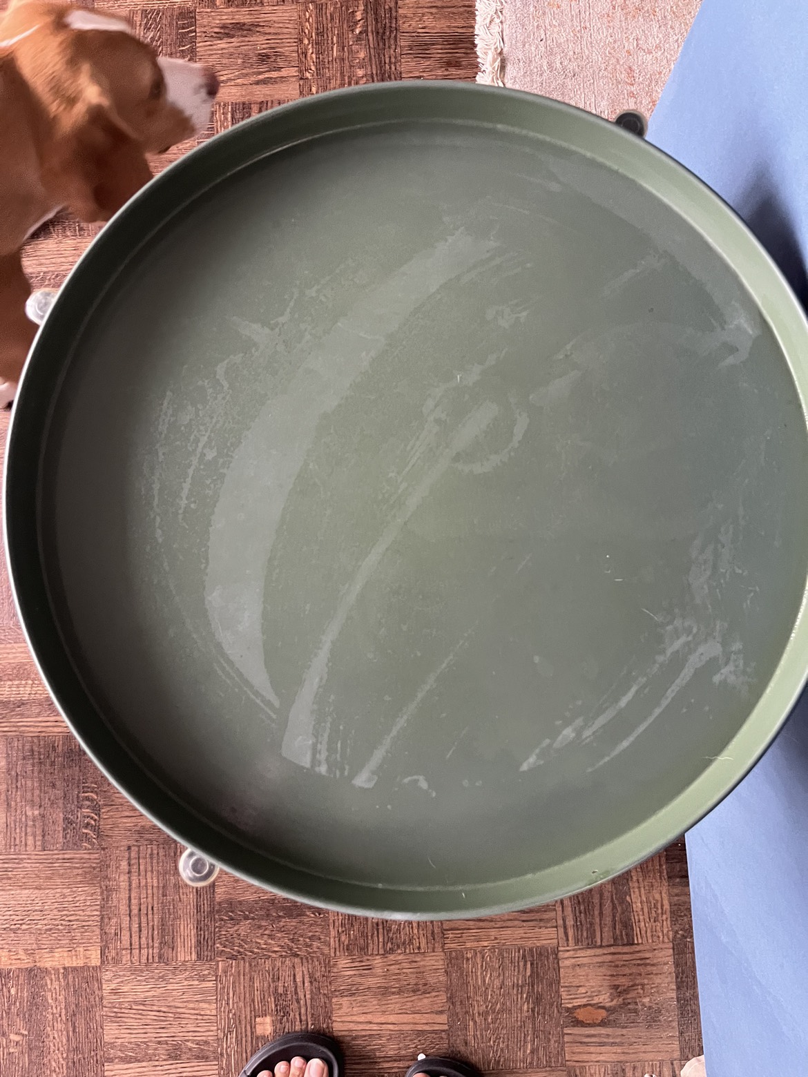 Tray table indoor outdoor with detachable tray image indicator(2)