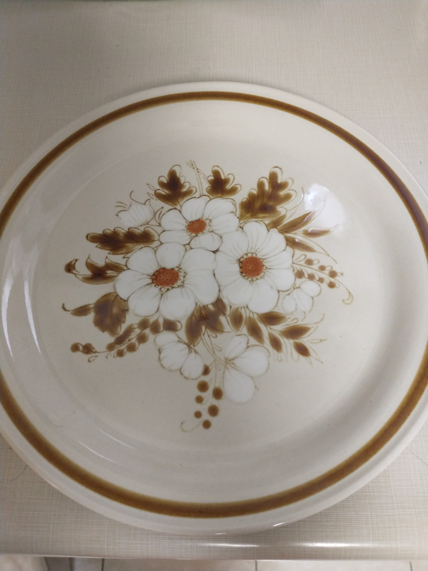 24 Vintage dinner plates thumbnail
