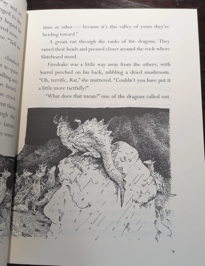 Hardcover Fiction Book: Dragon Rider 🐲 - photo 3