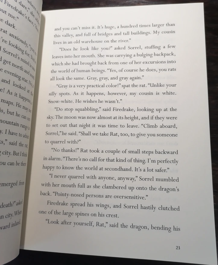 Hardcover Fiction Book: Dragon Rider 🐲 - photo 4