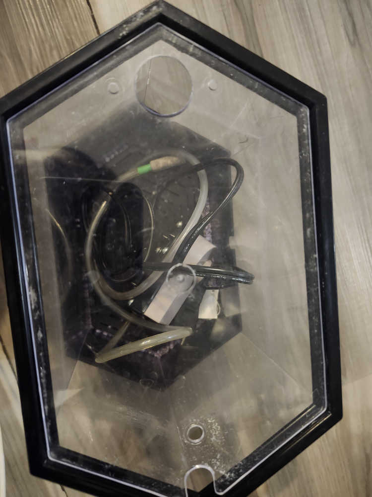small fish aquarium #freecycle - photo 3