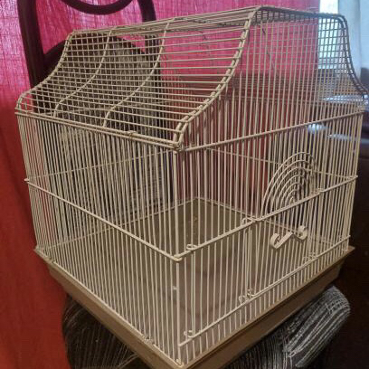 Bird cage - photo 3