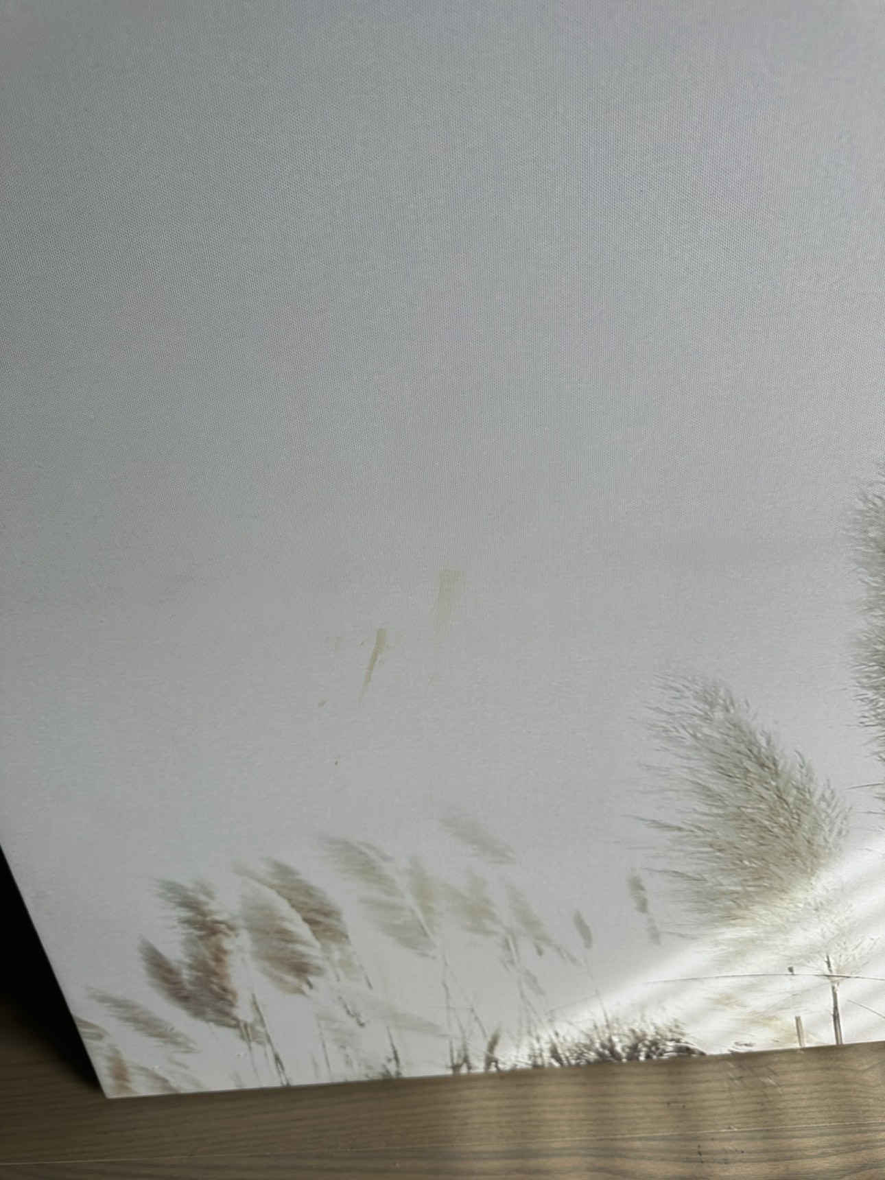 Canvas wall art - photo 3