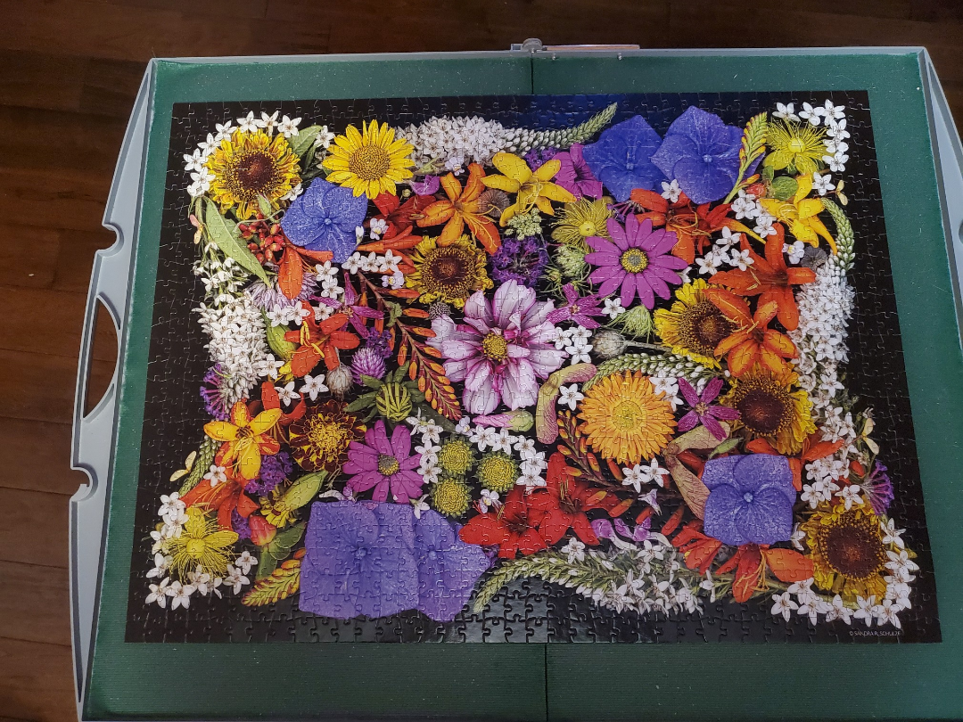 POSY PATCH🏈 image indicator(2)