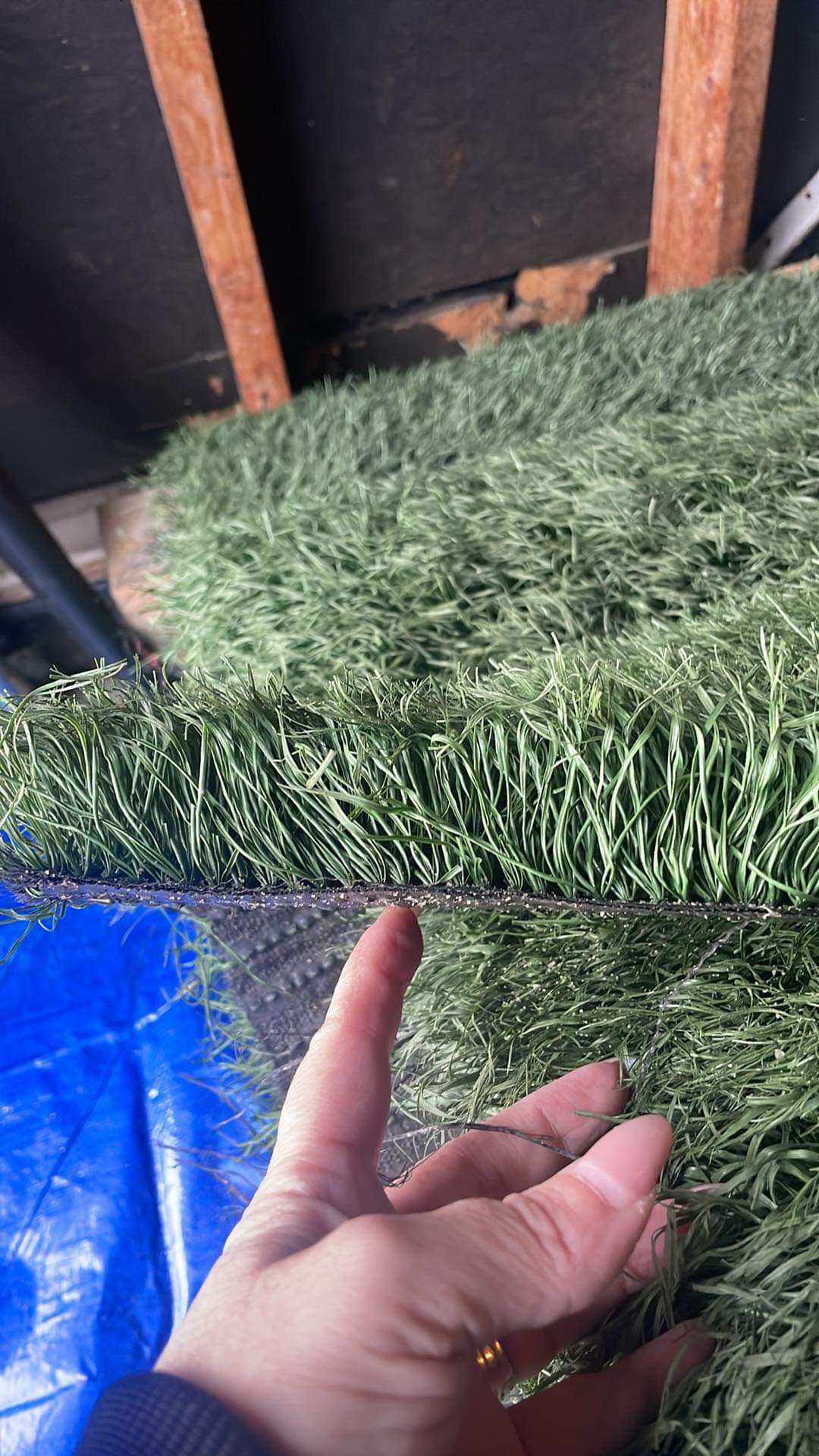 Artificial Turf 4’ x 8’ - photo 2