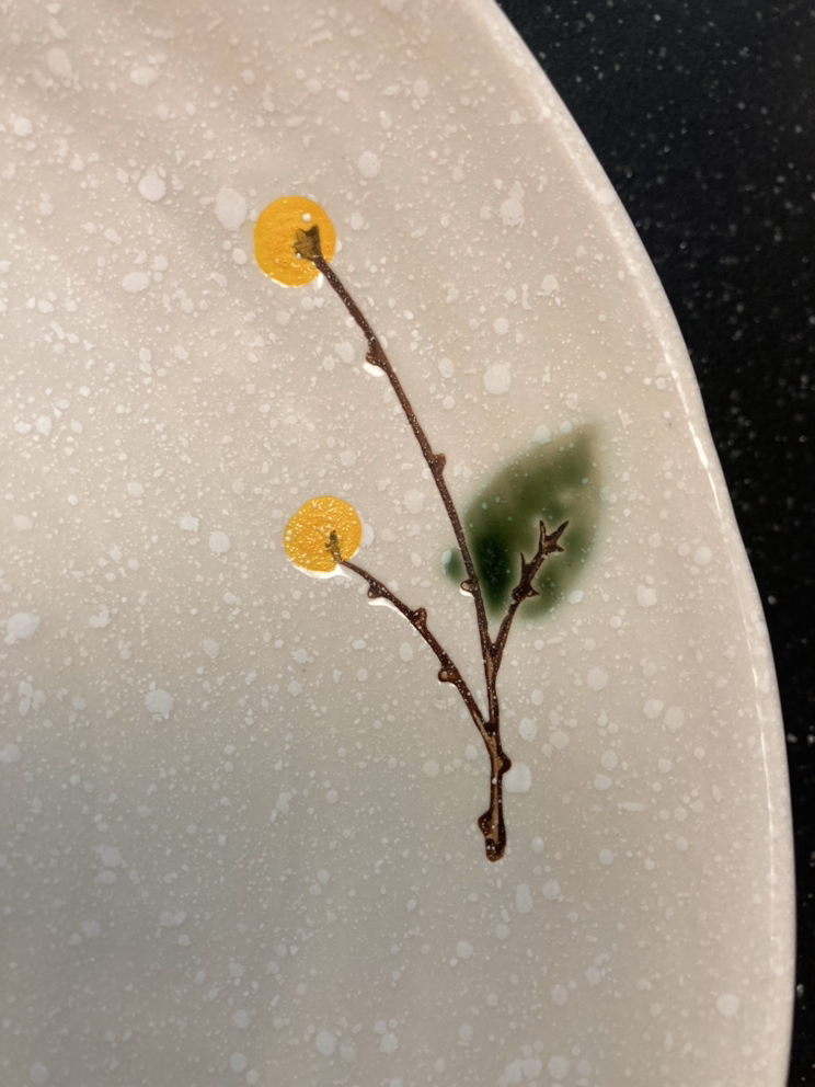 Dinner Plate image indicator(3)